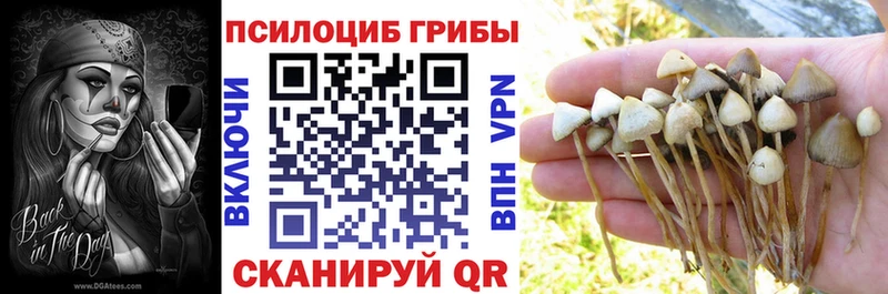 Галлюциногенные грибы Psilocybe  Алушта 